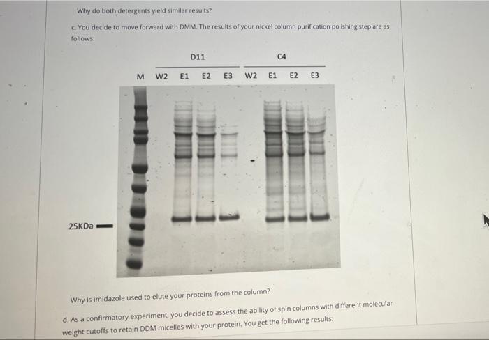D11: Corf105, androgen-dependent TFPI-regulating protein (-27 kDa) Each expressed protein has a