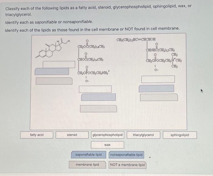 please help me with ALL of the following! i ran out of