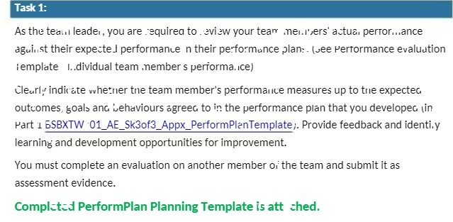 Task 1: As the teaul leader , you are required to