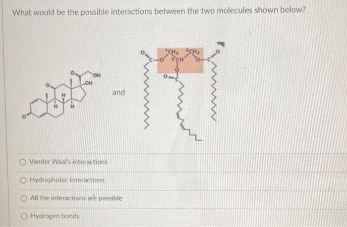  What would be the possible interactions between the two molecules shown
