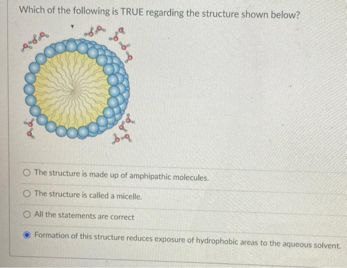 below? and Vander Waal's interactions Hydrophobic interactions All the interactions are possible