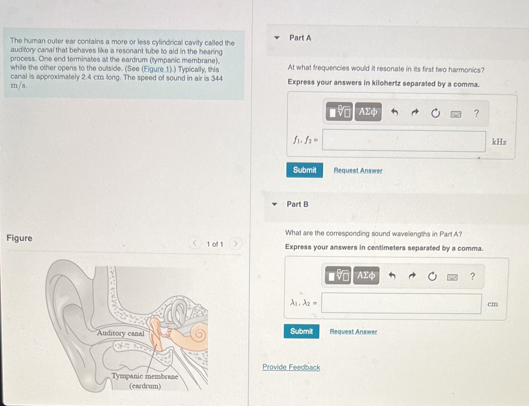  Part A The human outer ear contains a more or less