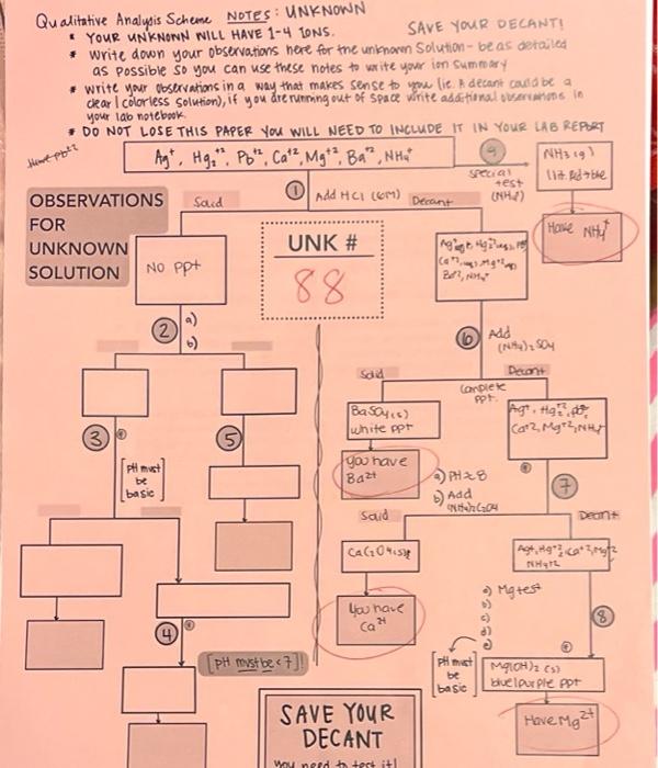  how to write the net ionic equation for this qualitative analysis?