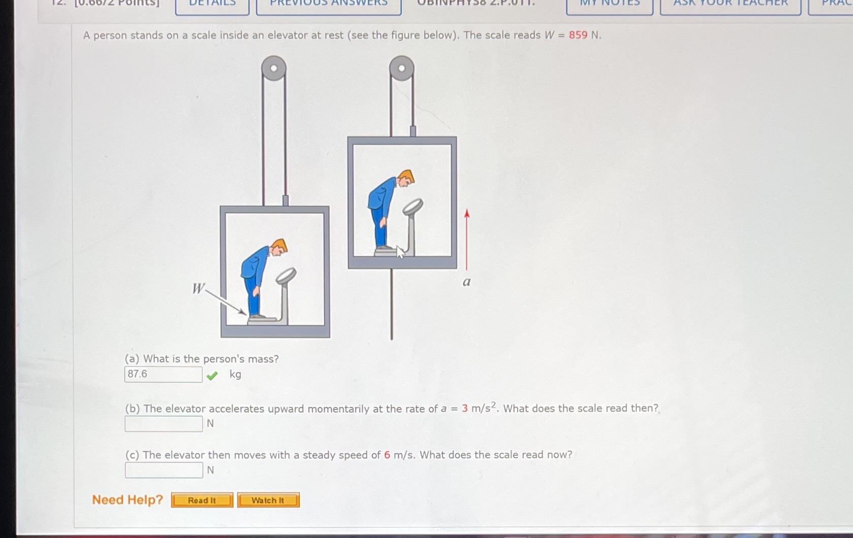 A person stands on a scale inside an elevator at rest