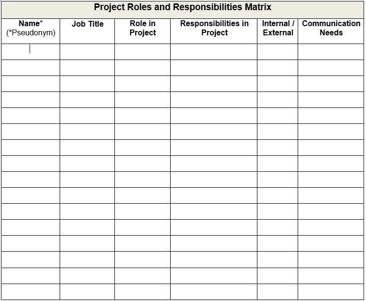 Help me design a project roles and responsibilities matrix for my Hospital