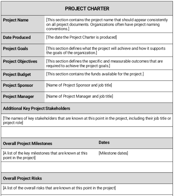 answer this project charter PROJECT CHARTER Project Name [This section contains the