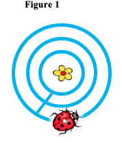 ladybug was crawling in a circle around a flower like in the