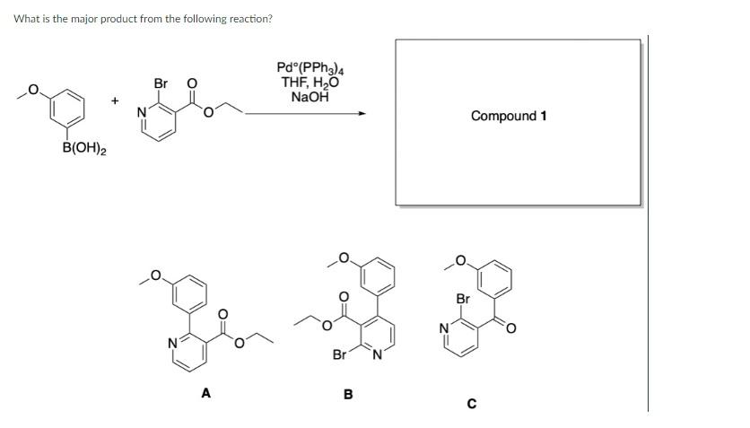 Please explain how you know your answer is correct. What is the