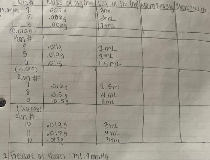 each micro mol mg and H2 Please submit your Excel spreadsheet (include
