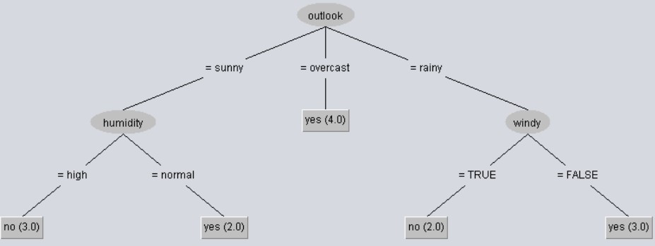 The J48 algorithm was applied to the weather.nominal.arff file in Weka to