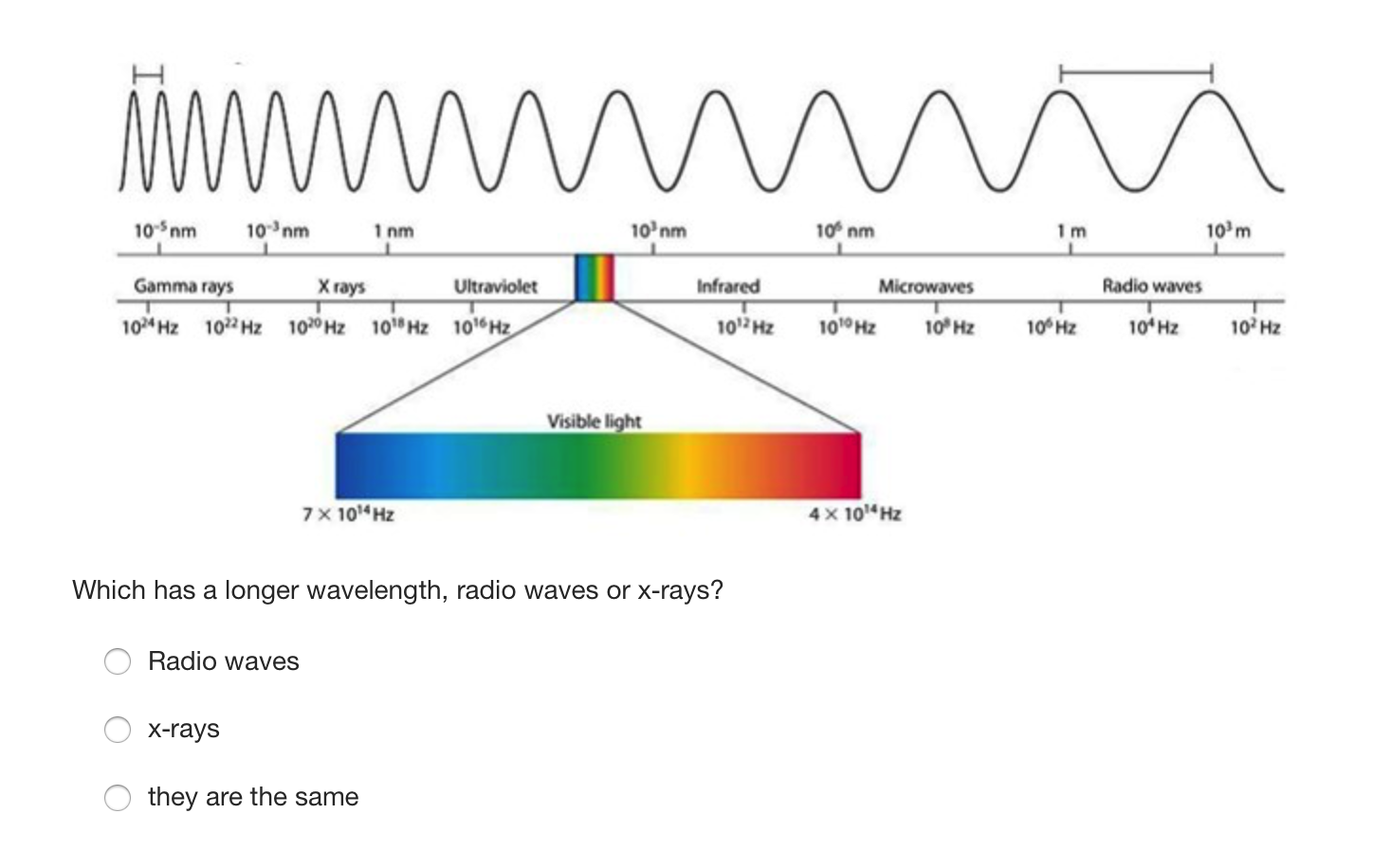 frequency period wavelength O amplitudeA wave with a wavelength of 10 meters