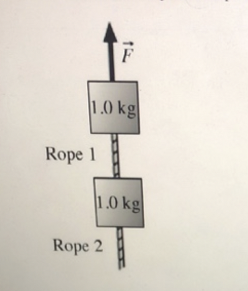 hows two 1.0 kg blocks connected by a rope. A second rope