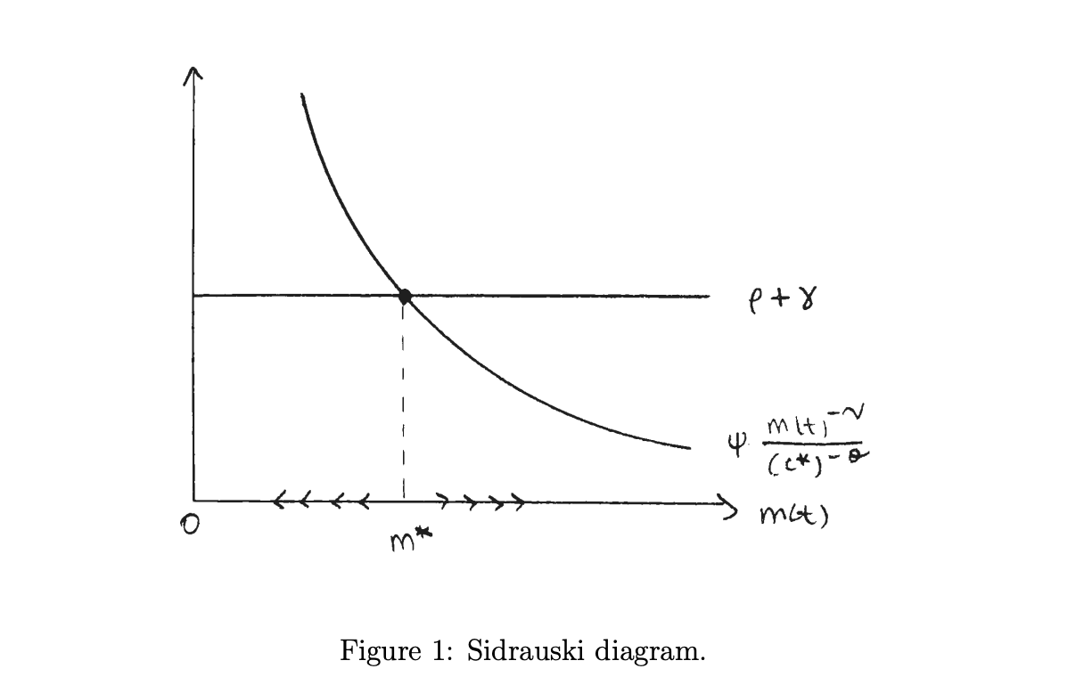 economy is at its steady state. No math required for this exercise!