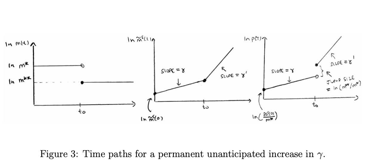 see section 4. Experiments for example on how to sketch the dynamic).
