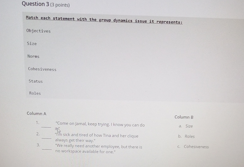 Question 3 (3 points) Match each statement with the group dynamics