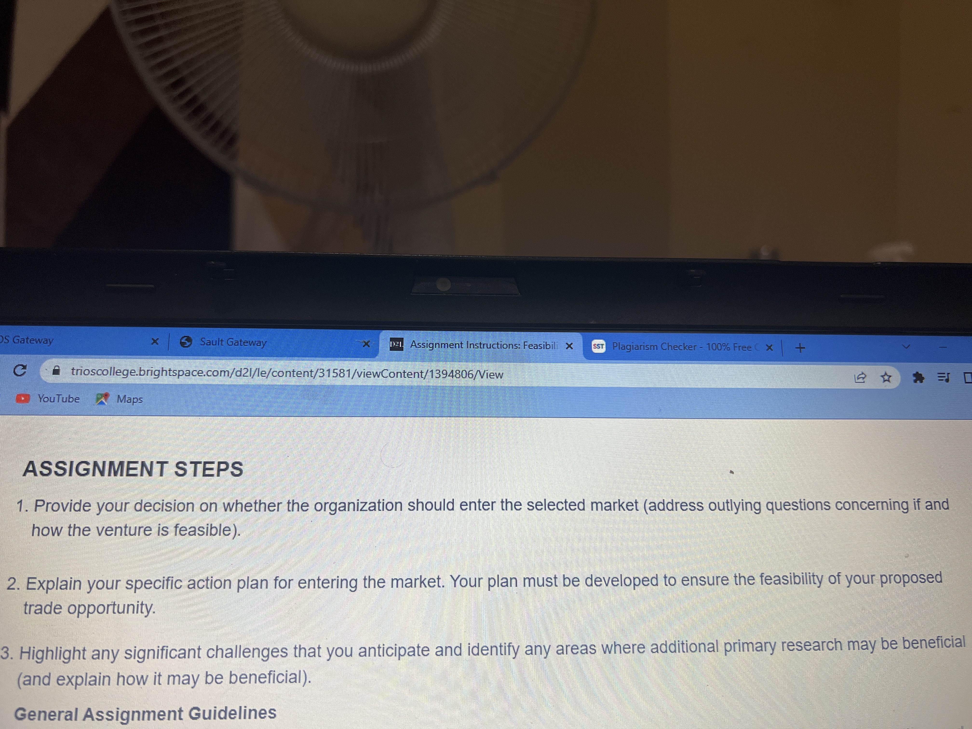  S Gateway X 5 Sault Gateway X 21 Assignment Instructions: Feasibili