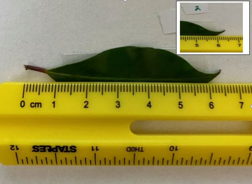 measured several times by a group of students. To measure the table,