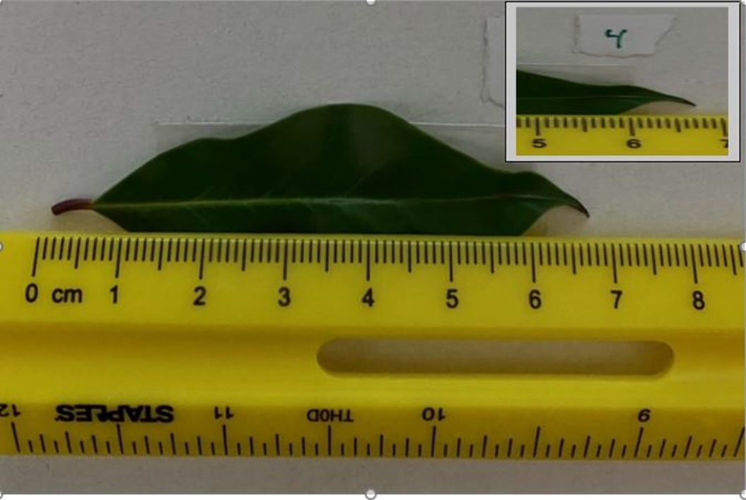 measured the meter stick marking on each edge. After calculating the difference
