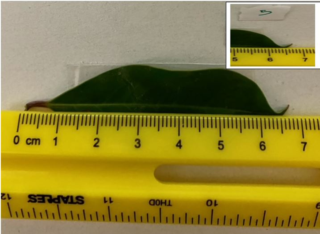 in the two measurements, the data was recorded into the table below.
