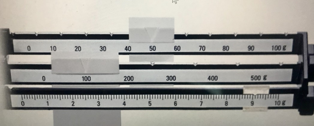 Length with a Metric RulerUsing a small plastic ruler, measure the length