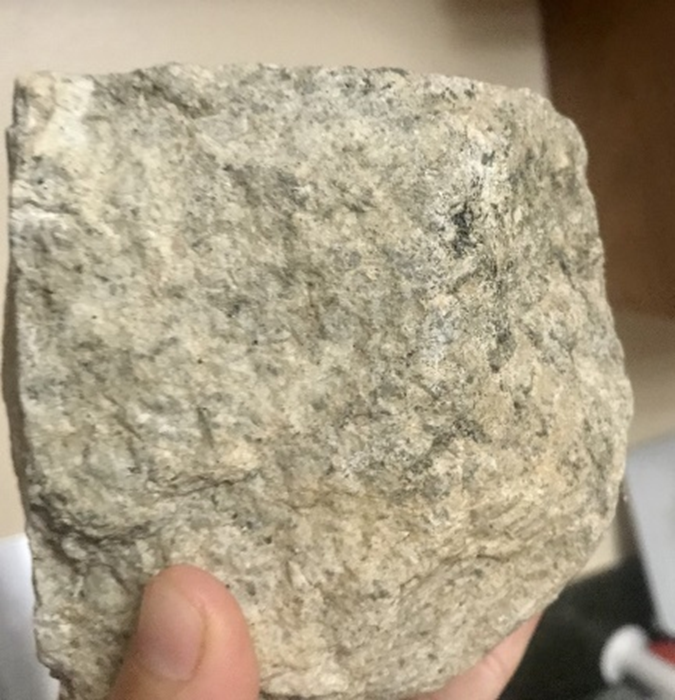 of 6 different bay leaves (see the images below). Record the data