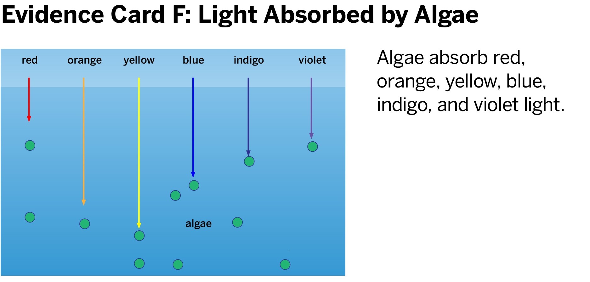 my physics project ( grade 8 ) , thanks to the tutors