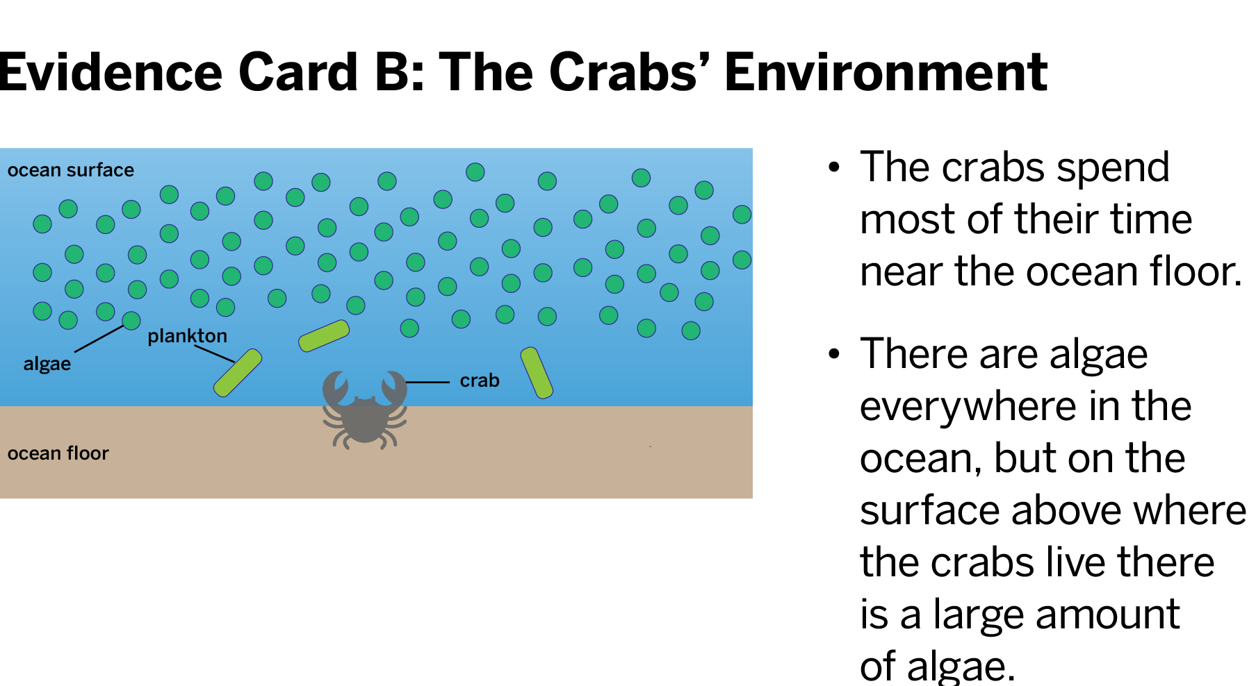 my physics project ( grade 8 ) , thanks to the tutor