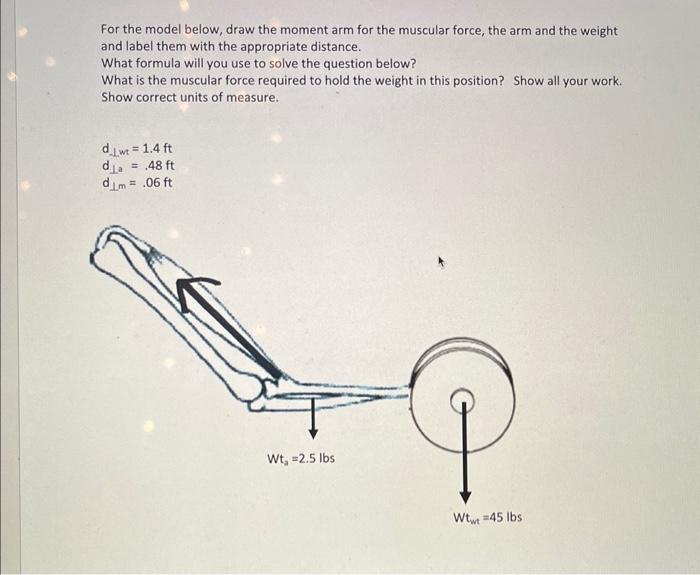 Please give only typed answer otherwise i will Downvote For the model