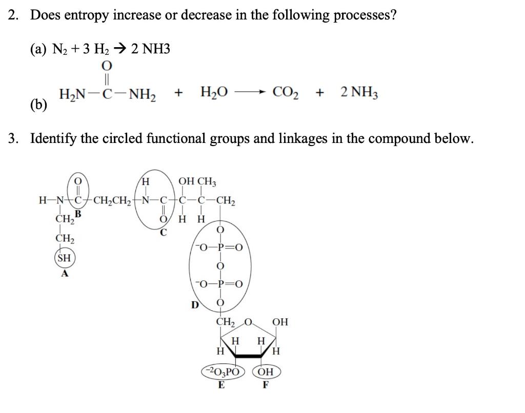  2. Does entropy increase or decrease in the following processes? (a)