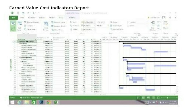 Earned Value Cost Indicators Report e