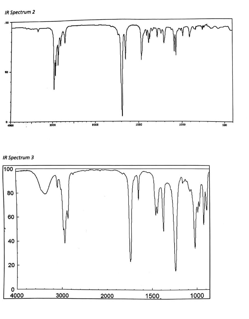 side of the IR spectrum and annotate each spectrum to show relevant