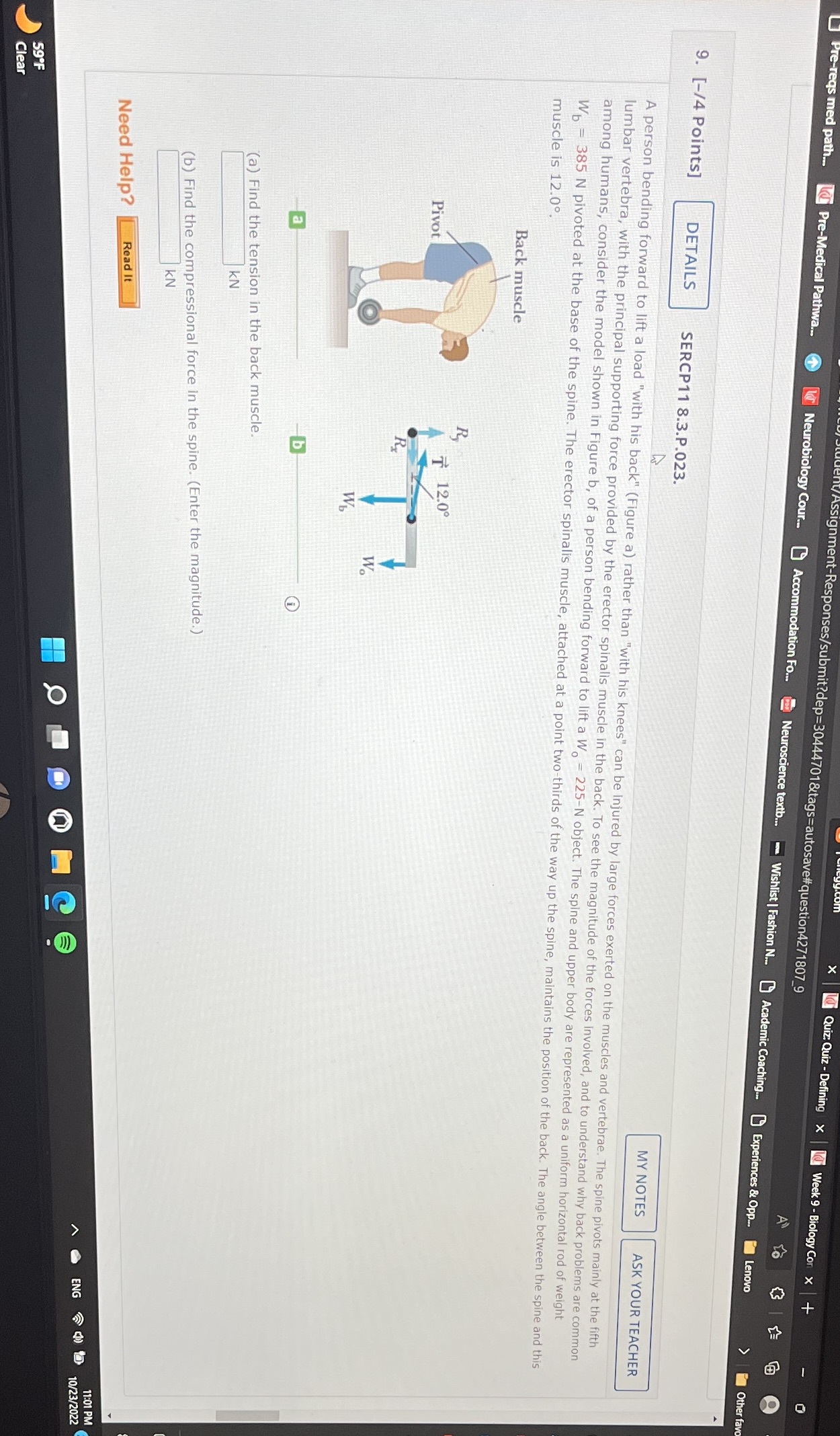 id Quiz: Quiz - Defining X la Week 9 - Biology