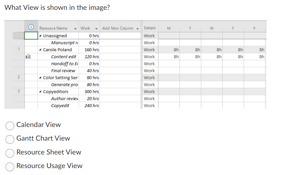 What View is shown in the image? Resource Name Work -
