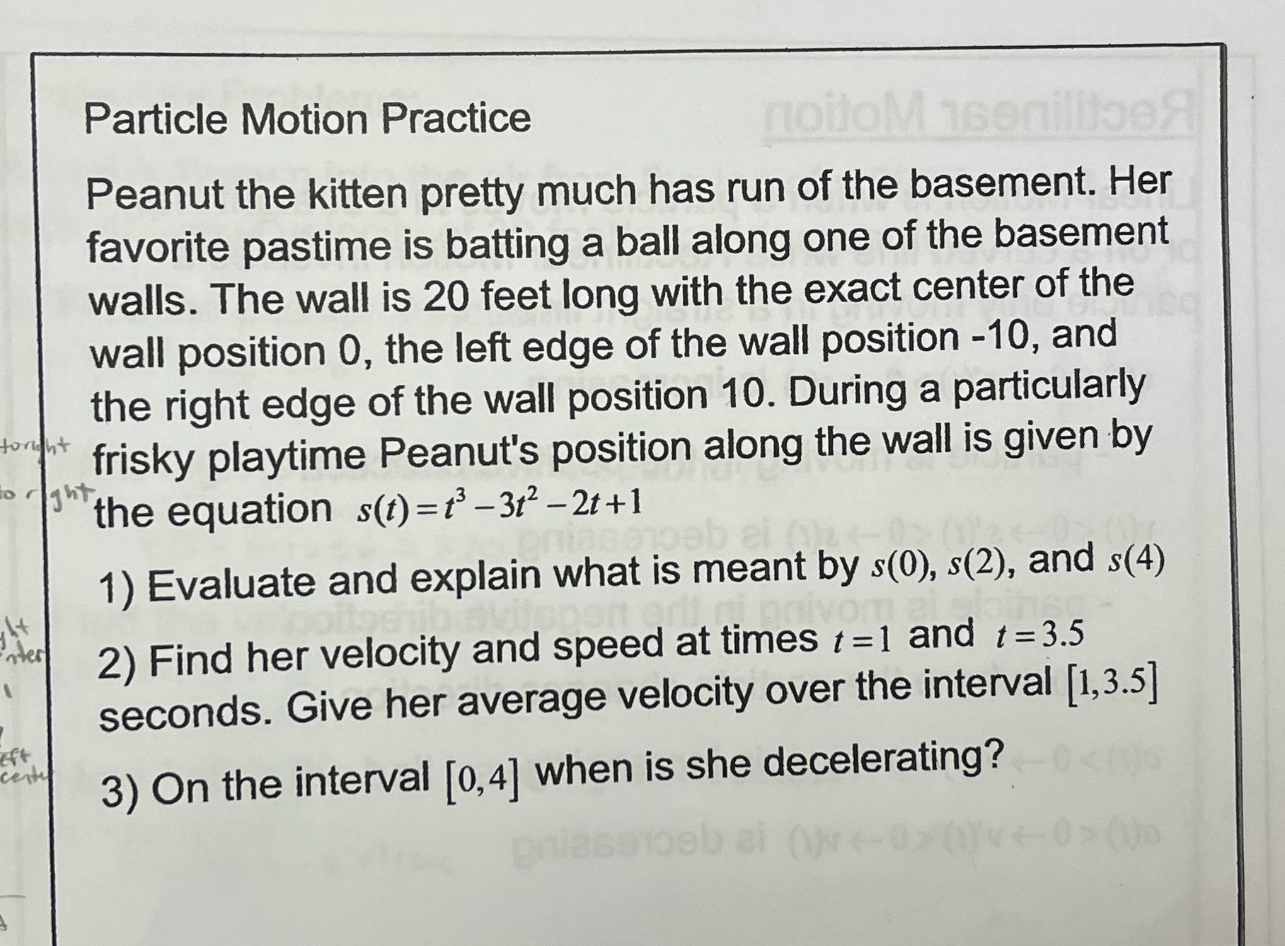 Particle Motion Practice Peanut the kitten pretty much has run of
