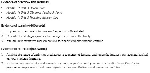 Evidence of practice- This includes Module 1: Unit 3 Lesson Plan
