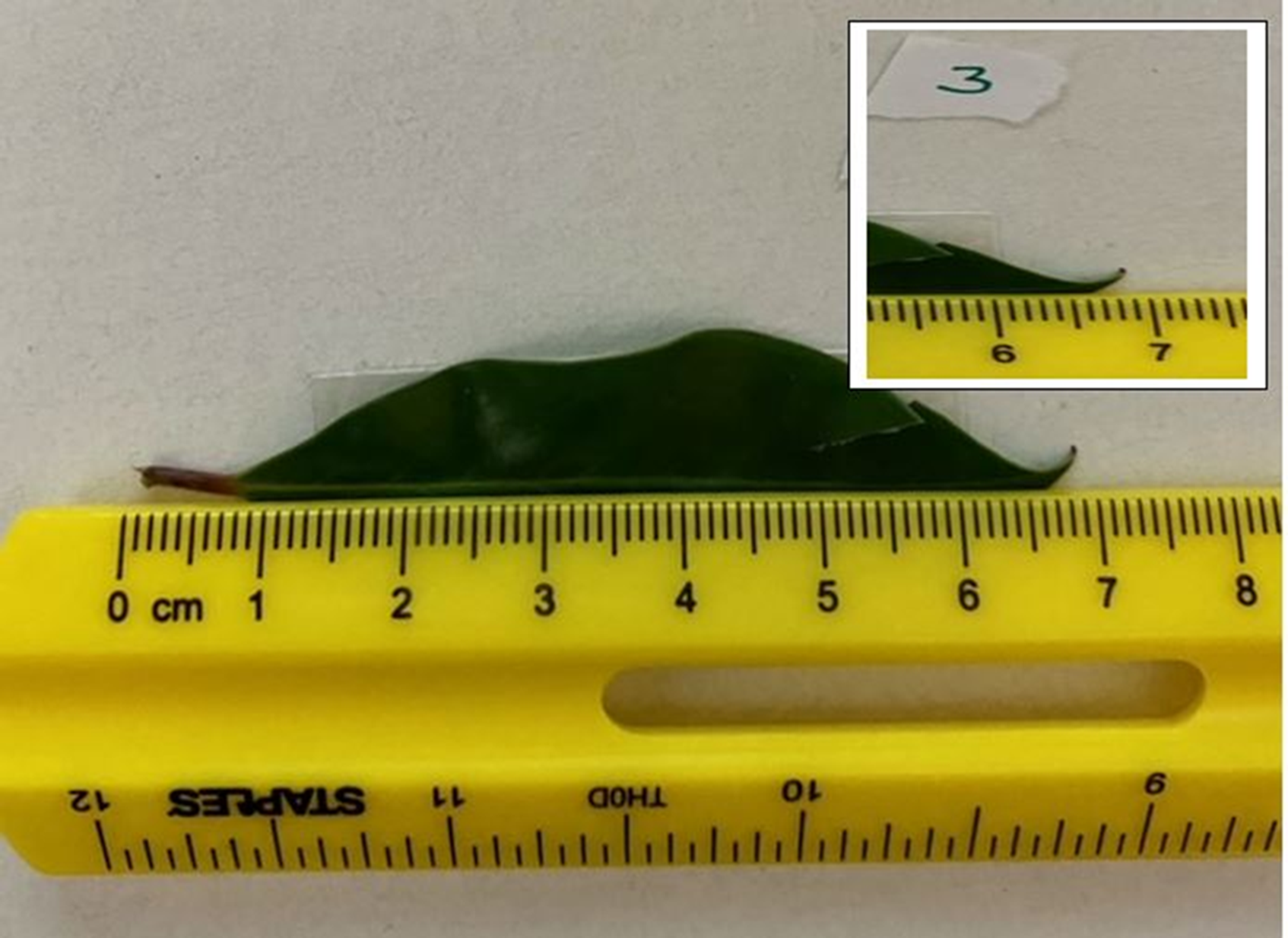 the lab.Record all DATA using table format as a guide to keep