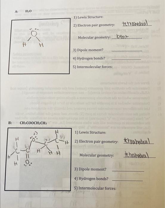  1) Lewis Structure: 2) Electron pair geometry: tetrahedral Molecular geometry: bent