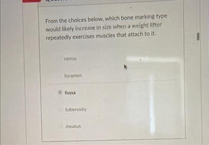 need help on practice homework From the choices below, which bone marking