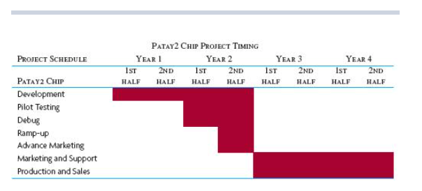 new type of technology. Its new chip, the Patay2 chip, will take