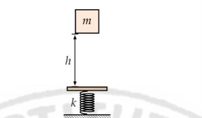 typewritten with detailed solution thankyou !4. A block with mass m =