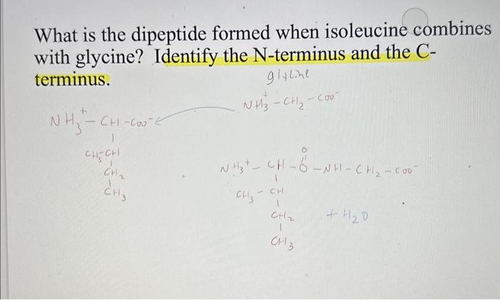 can you please explain why the two compounds connect how they do?