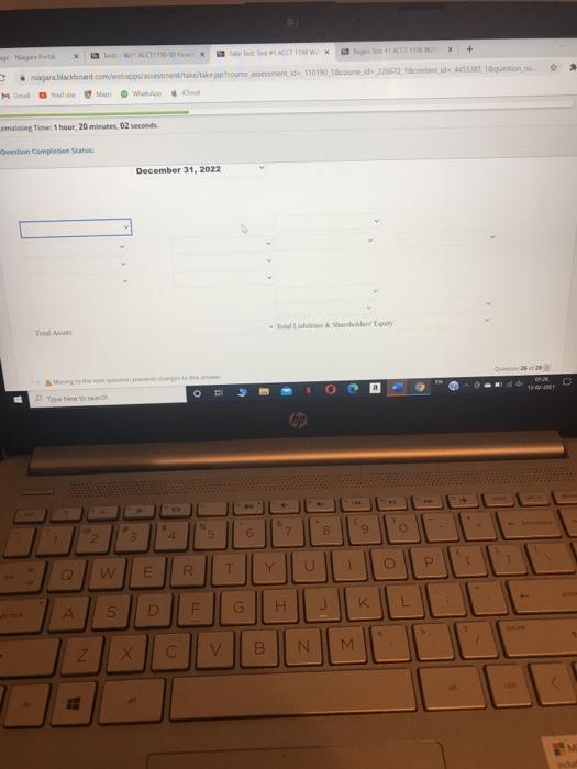 in proper form for Brampton Cleaners Ltd. at December 31, 2022. Use
