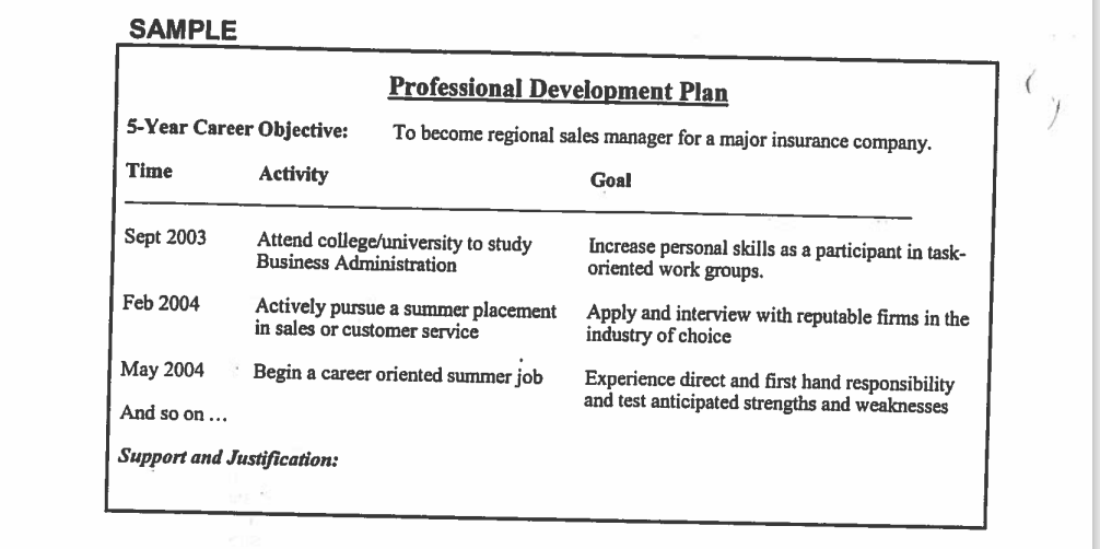 Create a Professional Development Plan:This plan should be a statement of what