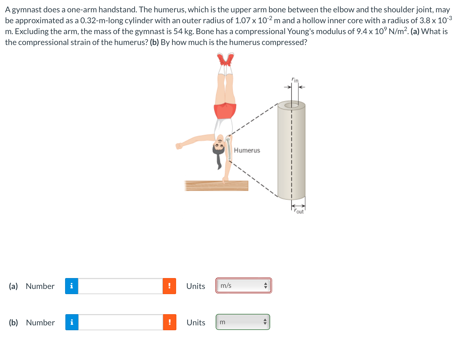 one side through a small angle and then released from rest. After
