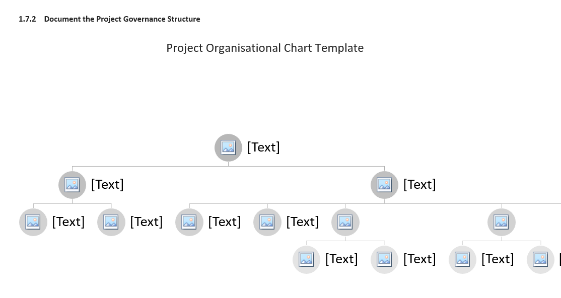  1.12 Document the Project Governance Structure 3 [Text] 3 [Text] 3
