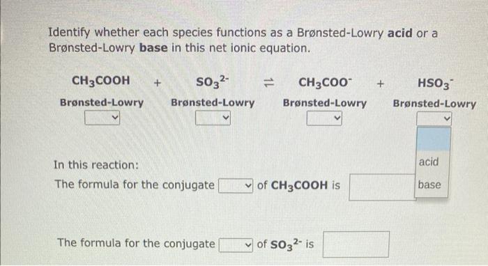species functions as a Brnsted-Lowry acid or a Brnsted-Lowry base in this