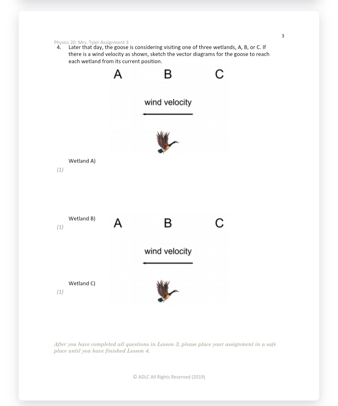 N Physics 20: Mrs. Tyler Assignment 3 A Canada goose flew 1.45