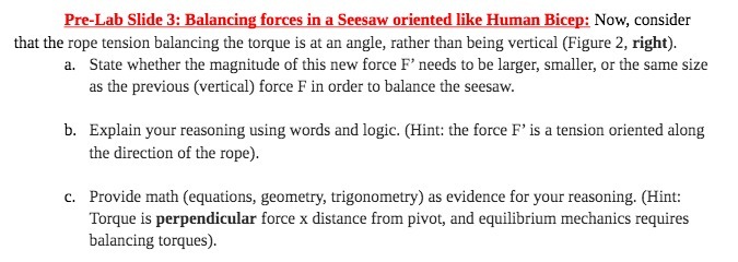  Pre-Lab Slide 3: Balancing forces in a Seesaw oriented like Human