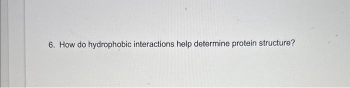 6. please explain 6. How do hydrophobic interactions help determine protein structure
