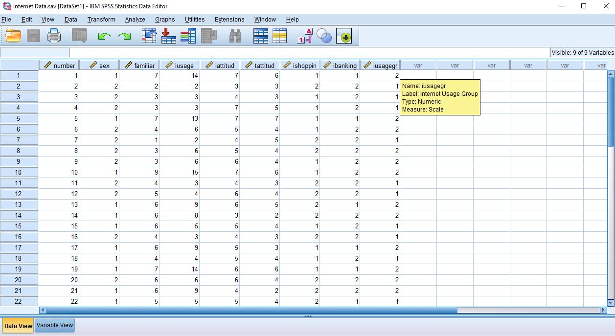  Internet Data.sav [DataSet1] - IBM SPSS Statistics Data Editor 0 X